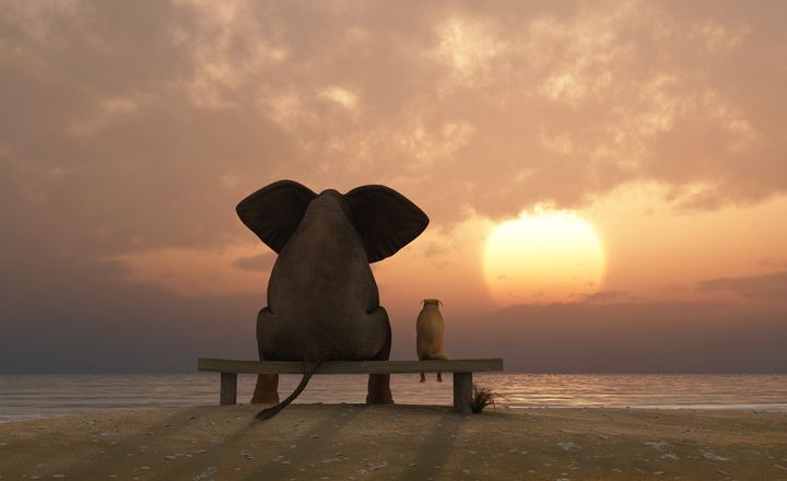 Finding the Right Partner featured image