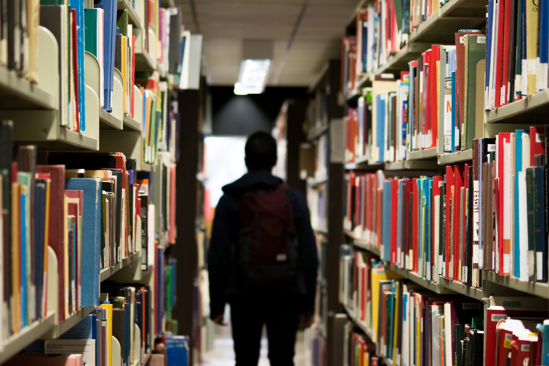 Student rear silhouette library (Pixabay)