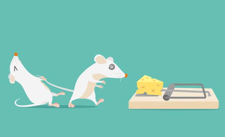 The Implementation Trap featured image