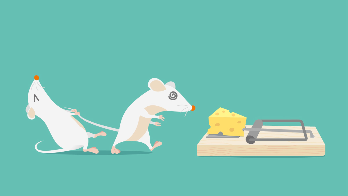 The Implementation Trap featured image