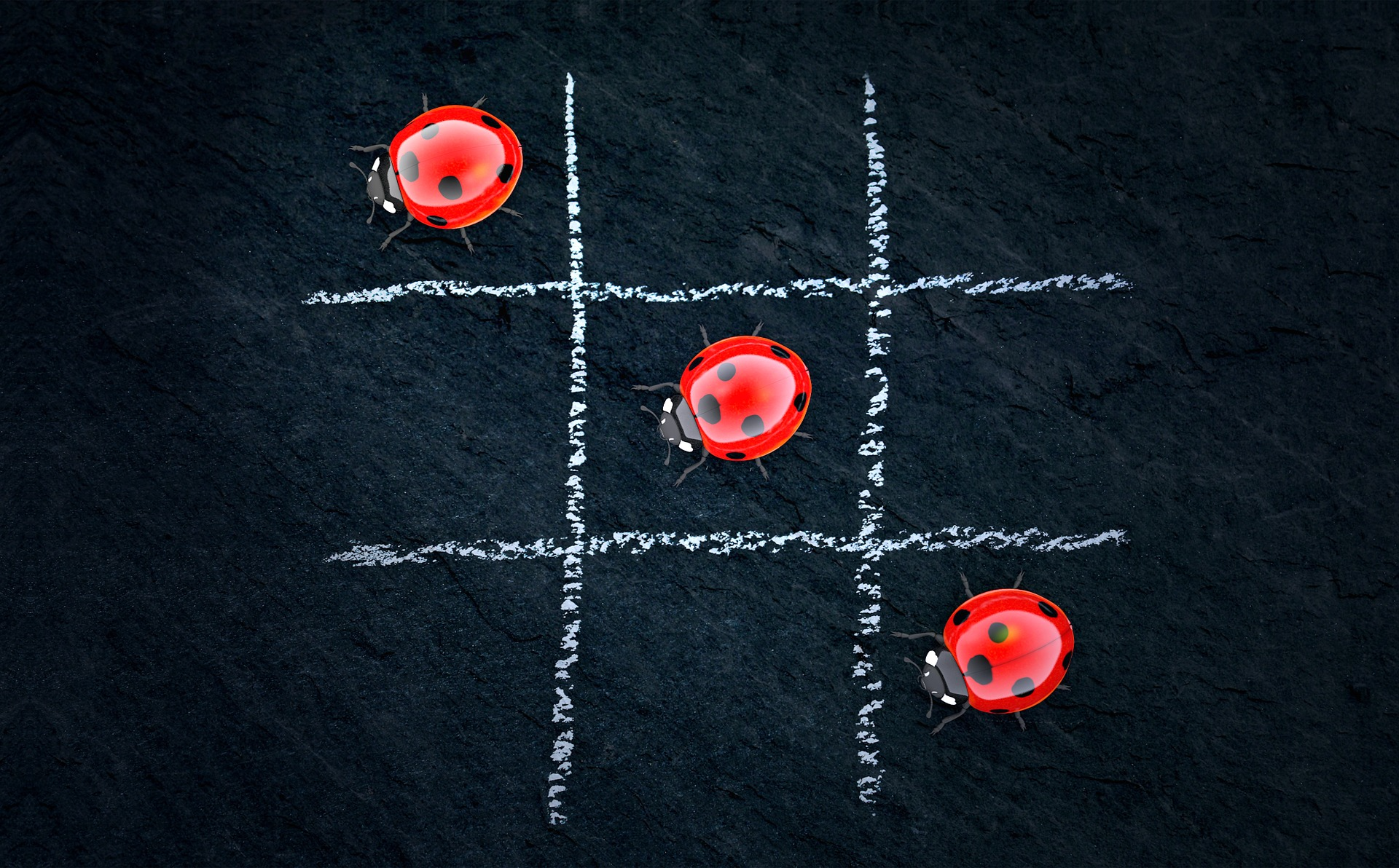 Tic Tac Toe (Pixabay tic-tac-toe-1949884_1920)
