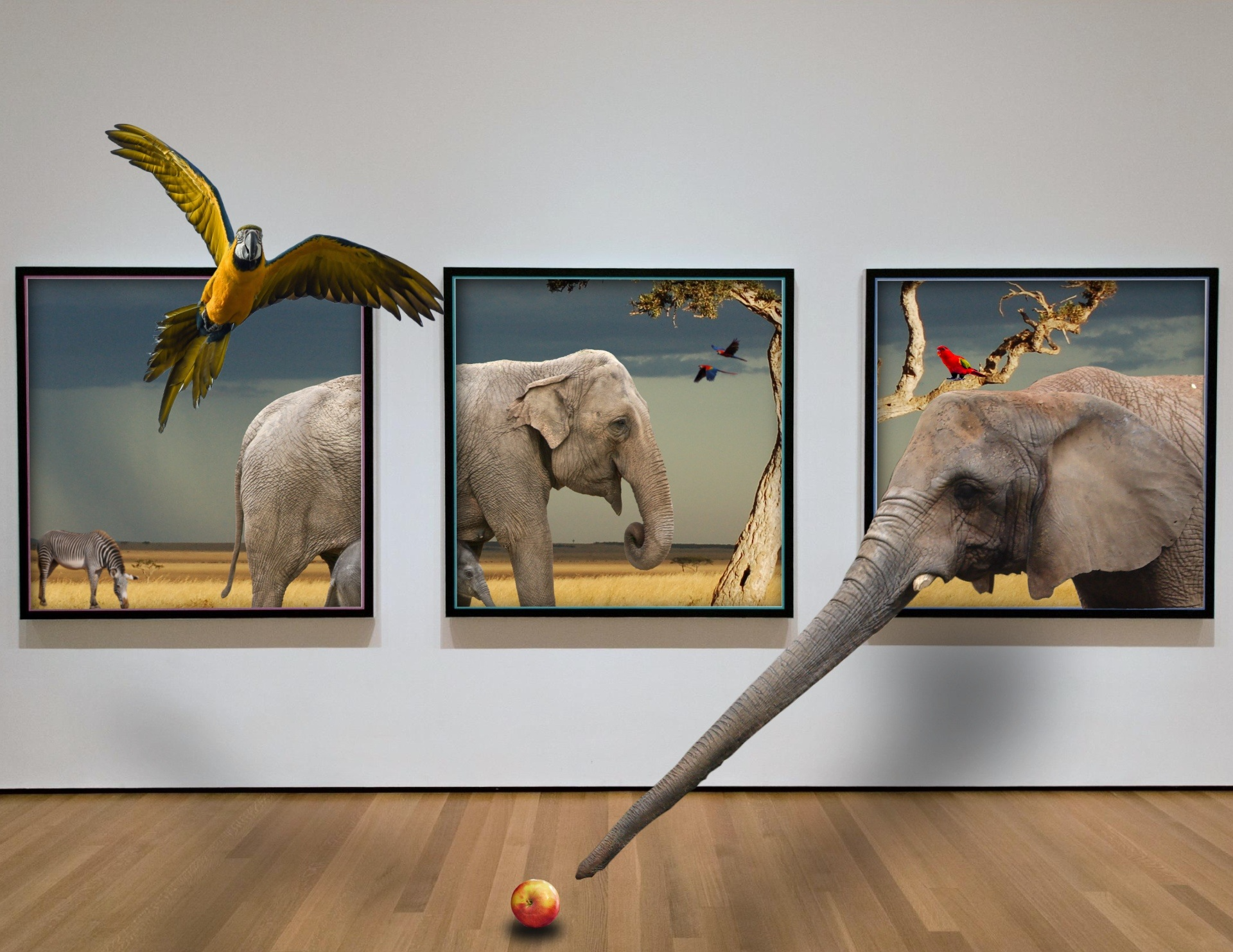 Elephant in picture-frame-3114263 (Pixabay)