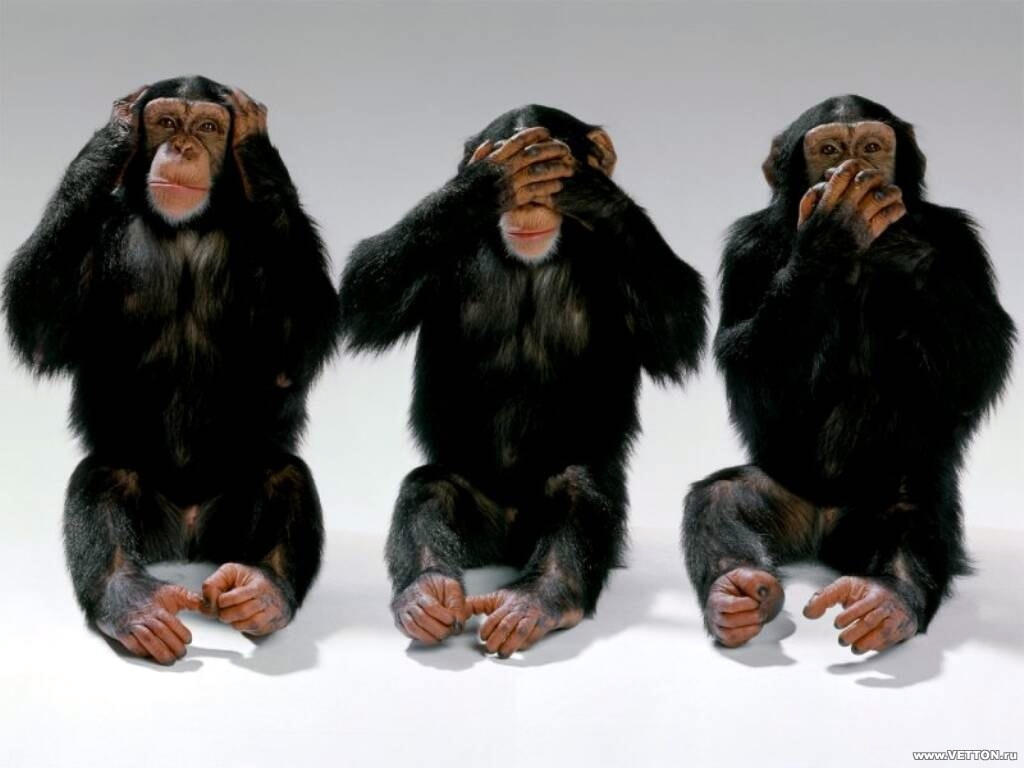 Three Monkeys (Flickr)