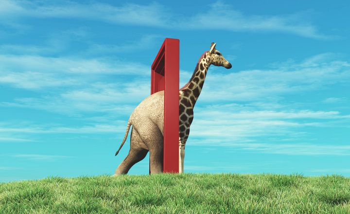 A question of expectations featured image