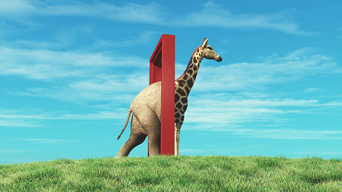 A question of expectations featured image