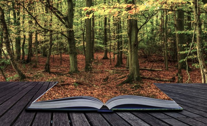 15 Tests for Secondary School Reading Interventions featured image