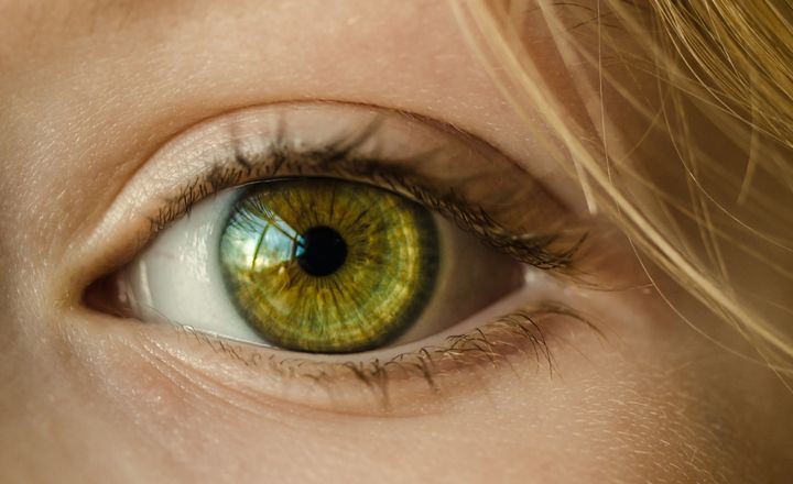 Literacy Leadership Part 1: Vision and Mission featured image