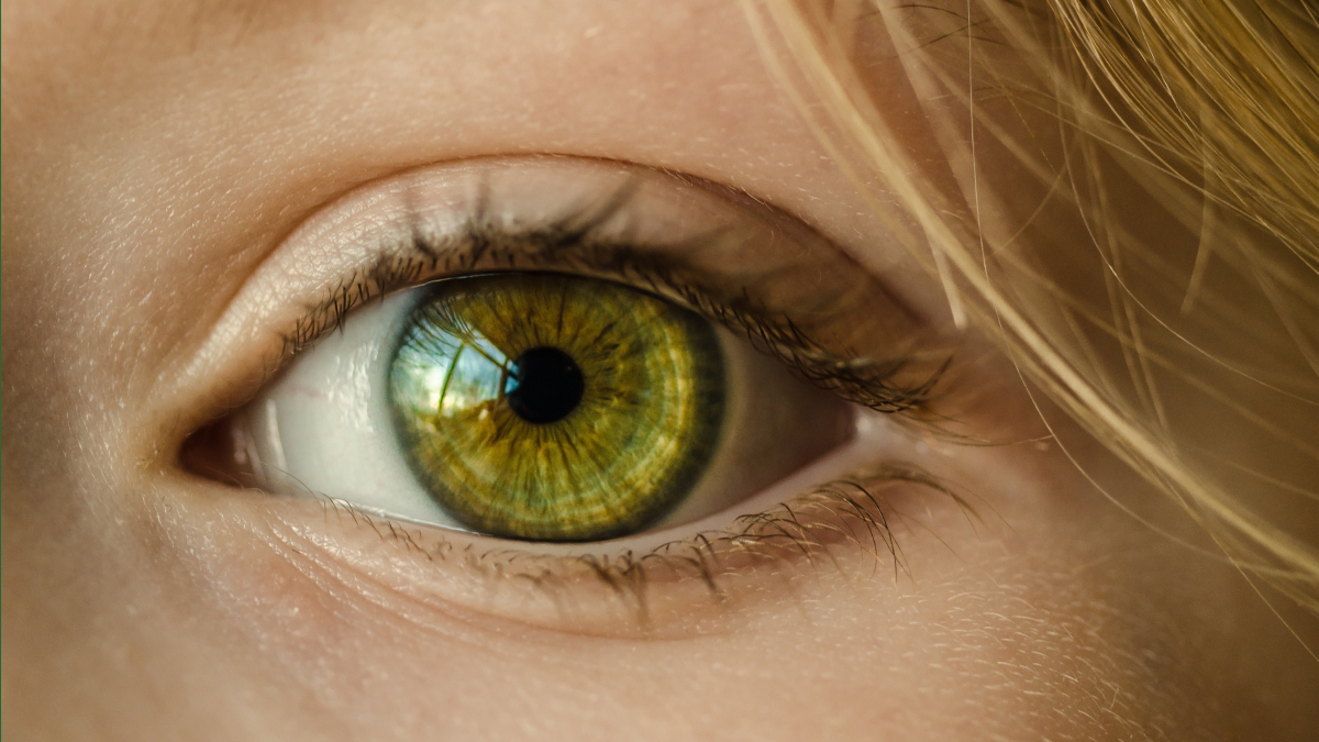 Literacy Leadership Part 1: Vision and Mission featured image